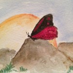 cinnabar moth