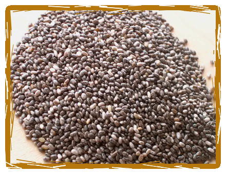 chia seeds photo cred: http://www.purcellmountainfarms.com/chia%20seeds.htm